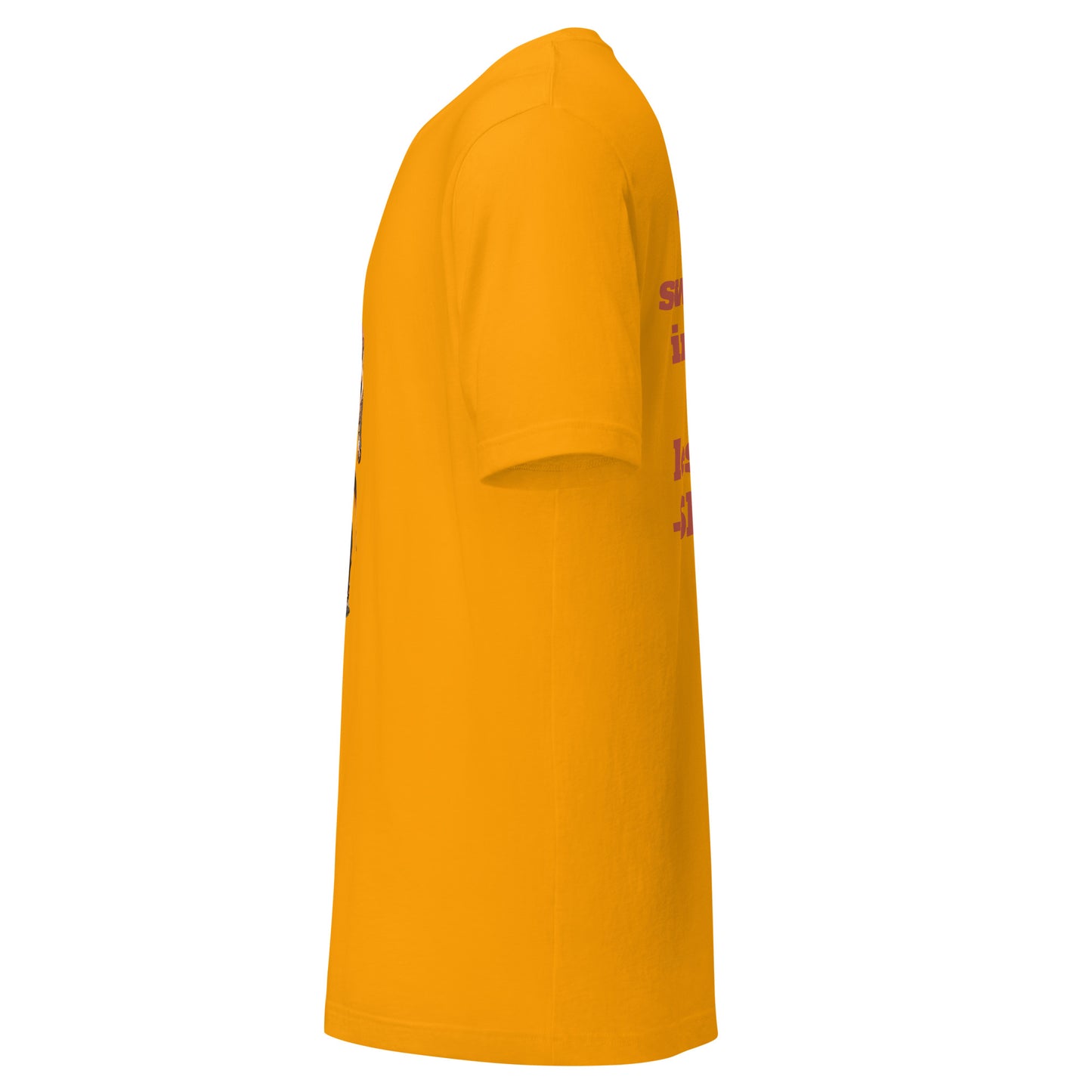 Spartan t-shirt
